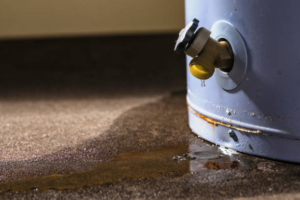 Best Residential water damage restoration  in Hampton, IA