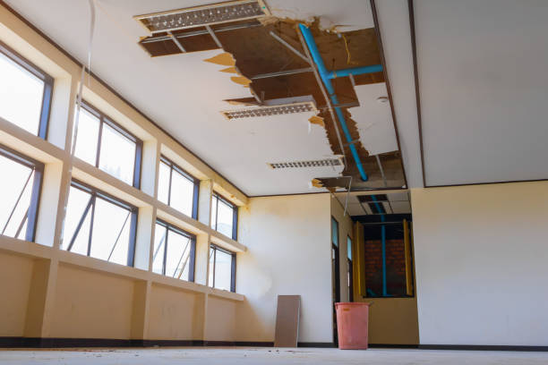 Best 24-hour water damage restoration  in Hampton, IA
