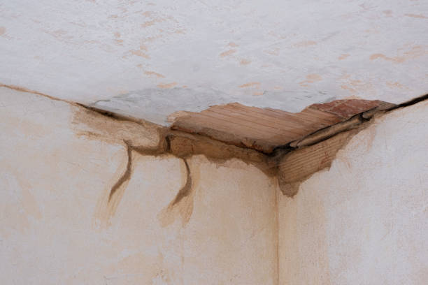 Best Commercial water damage restoration  in Hampton, IA