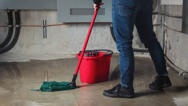 Best Water damage restoration experts  in Hampton, IA