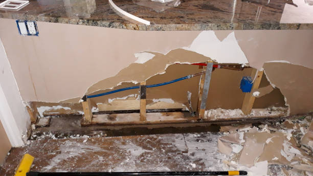 Best Water damage contractors near me  in Hampton, IA