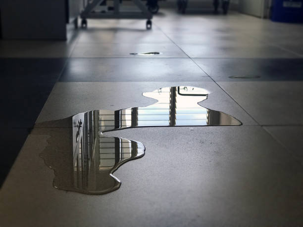Best Water damage repair service  in Hampton, IA