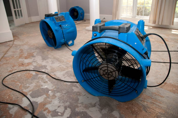 Best Sewage cleanup and water damage restoration  in Hampton, IA