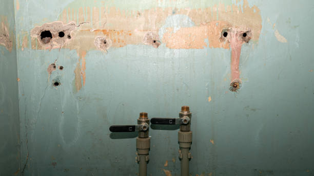 Best Ceiling water damage repair  in Hampton, IA