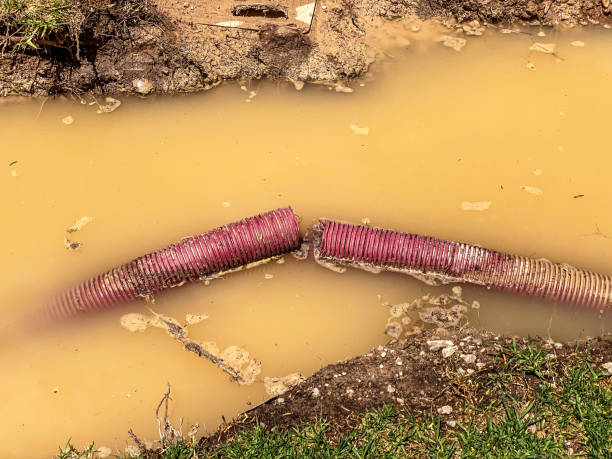 Best Basement water damage restoration  in Hampton, IA